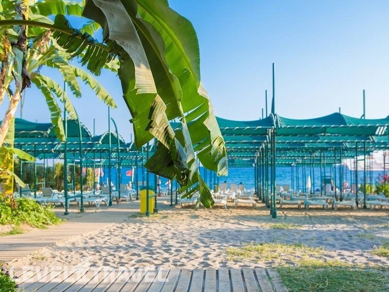 Фотография Telatiye Resort Hotel