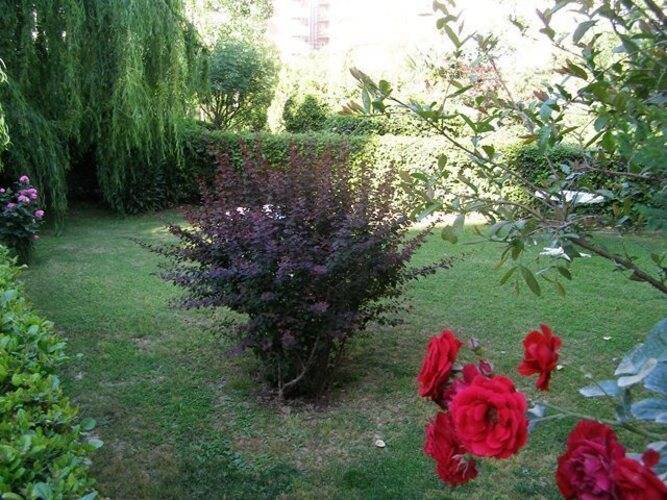 Sevki Bey Hotel
