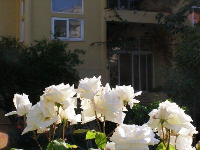 Sevki Bey Hotel