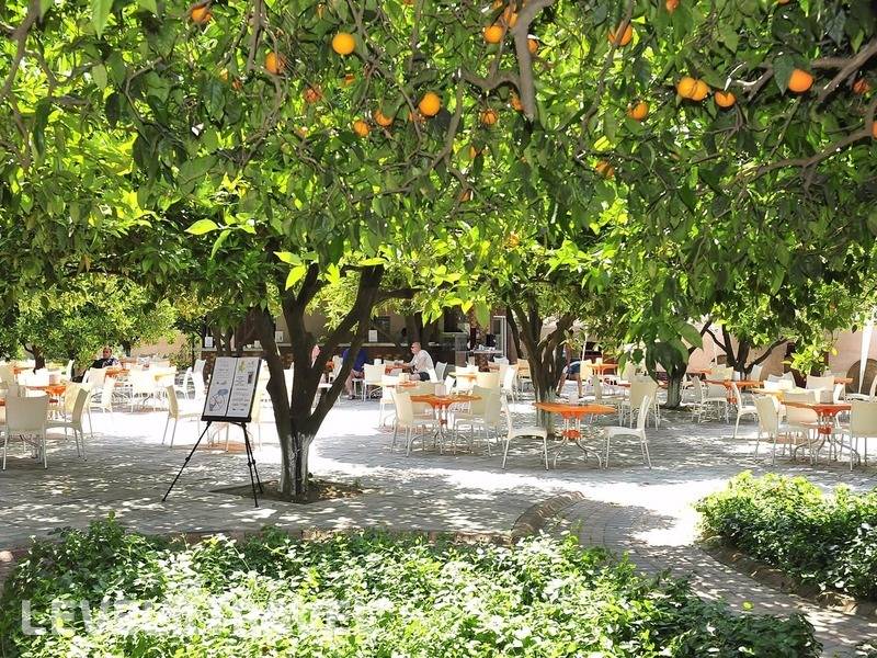 Фотография Misal Hotel Spa & Resort (Ex. Noxinn Club)