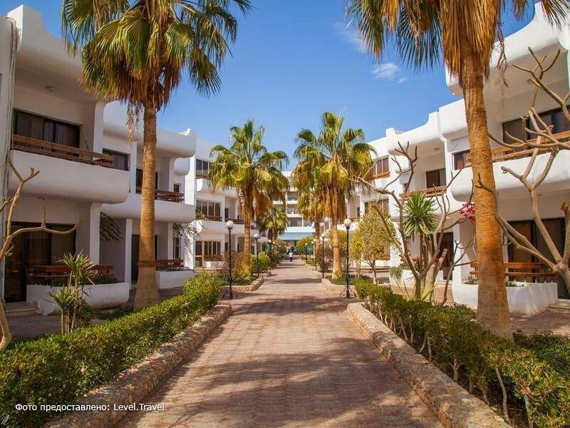 Фотография Marlin Inn Azur