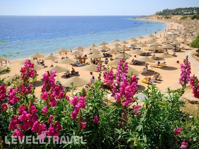 Фотография Domina Coral Bay Harem