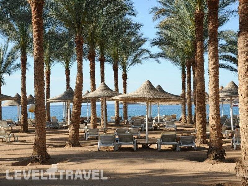 Фотография Seti Sharm Resort