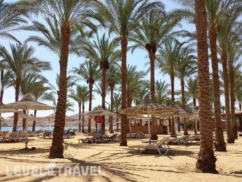 Фотография Seti Sharm Resort