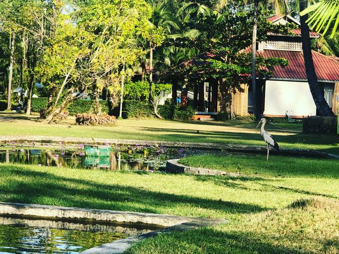 Palm Galleria Resort