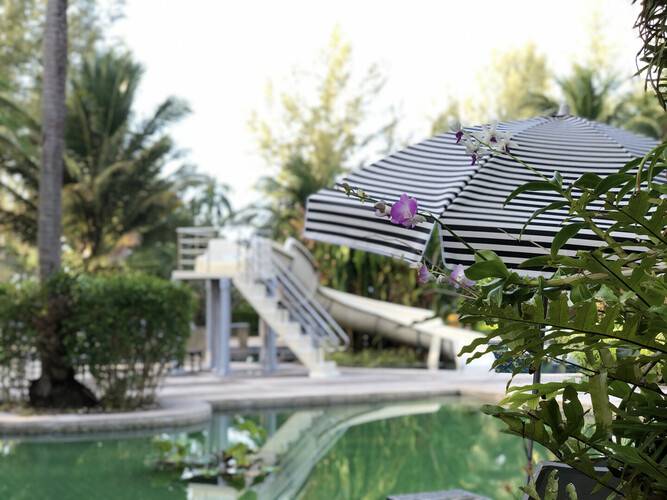 Palm Galleria Resort