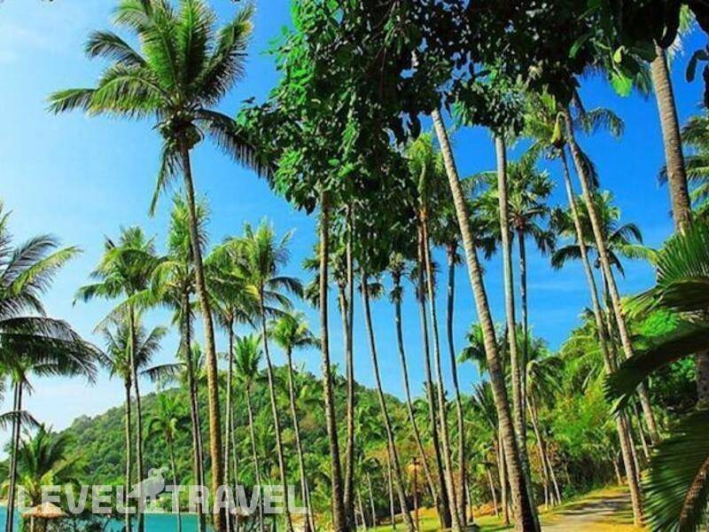 Фотография Rayong Resort Beach & Spa Hotel