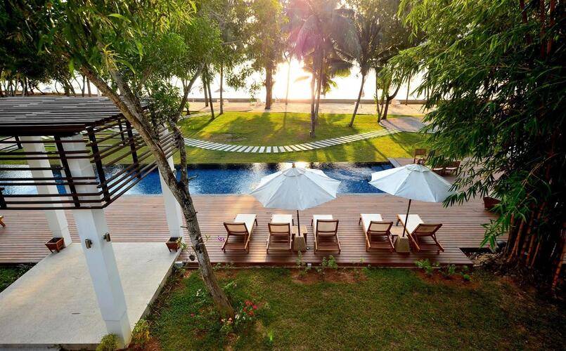 The Mangrove By Blu Monkey