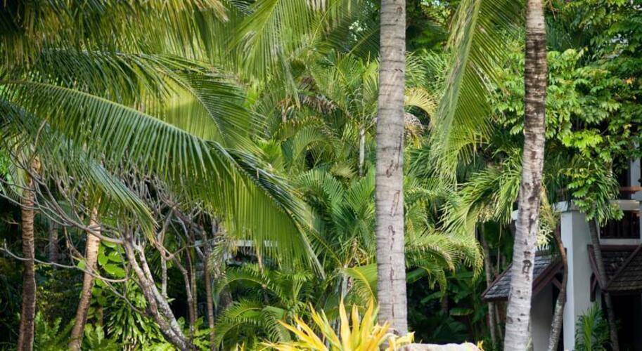 Muang Samui Spa Resort