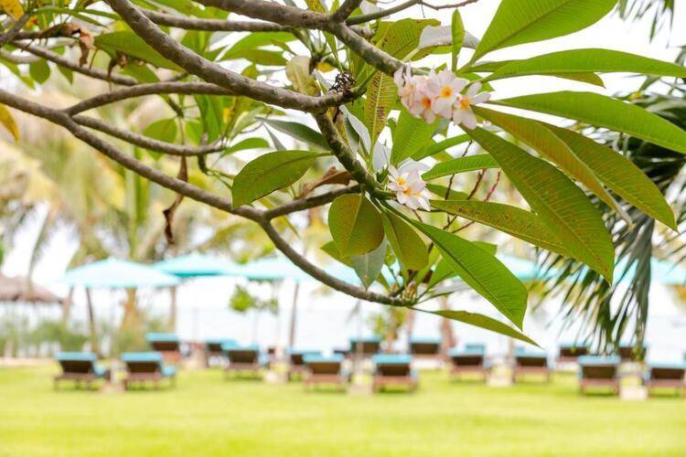 Pinnacle Grand Na Jomtien Resort & Beach Club (Ex. Pinnacle Grand Jomtien Resort)