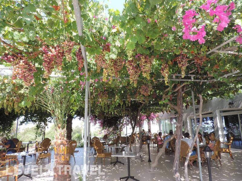 Фотография Corfu Hotel