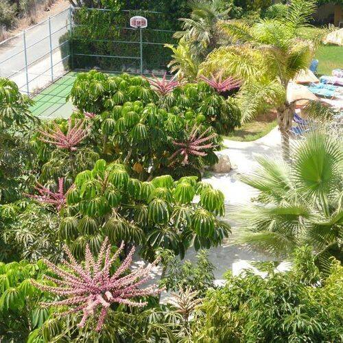 Smartline Mayfair Paphos