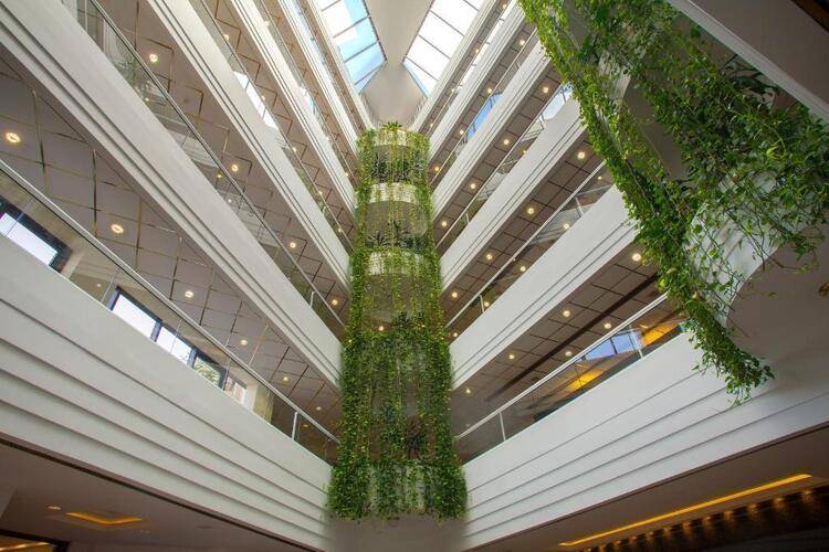 Grand Resort (Ex. Hawaii Grand)