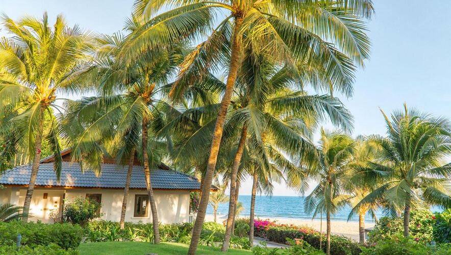 The Cliff Resort & Residences