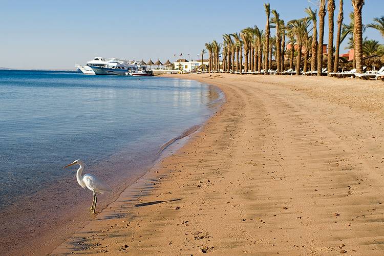 Sindbad Beach