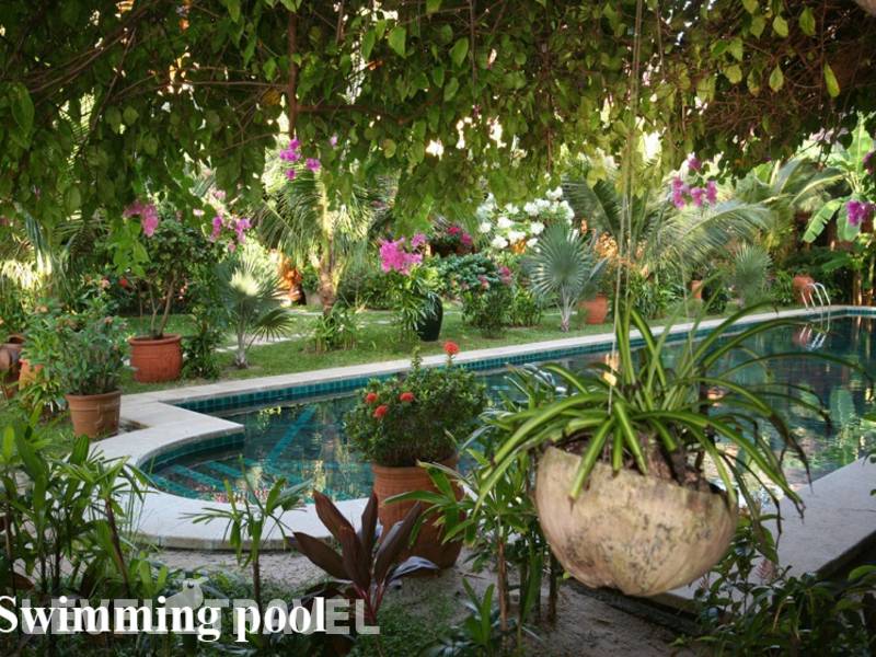 Фотография Full Moon Beach Hotel