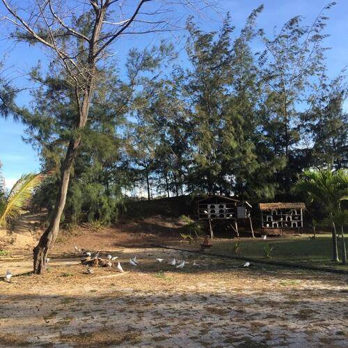 Muine Bay Resort