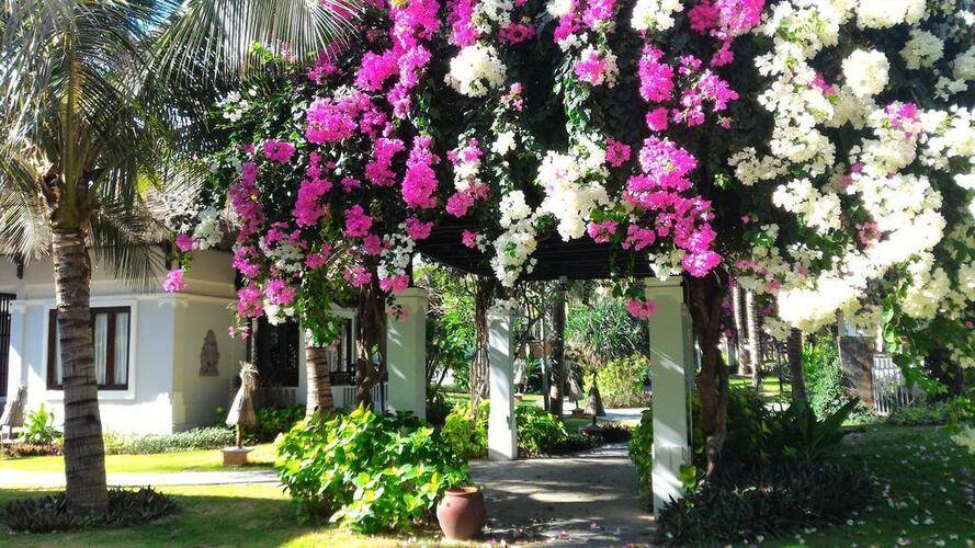 Muine Bay Resort