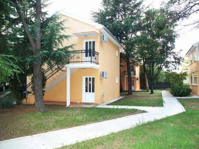 Kamelija