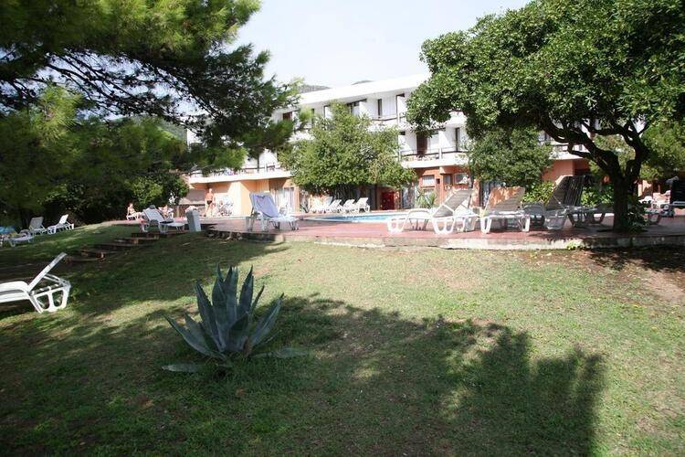 Kamelija