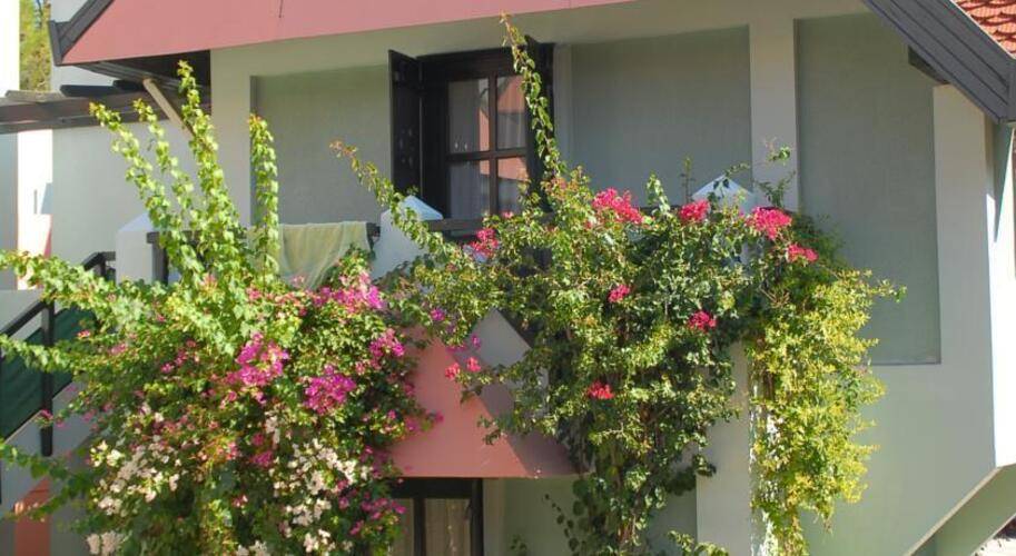 Patio Beach Club Hotel