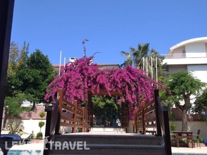 Фотография Agon Hotel