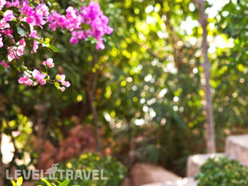 Фотография Sunny Garden Nilufer Hotel