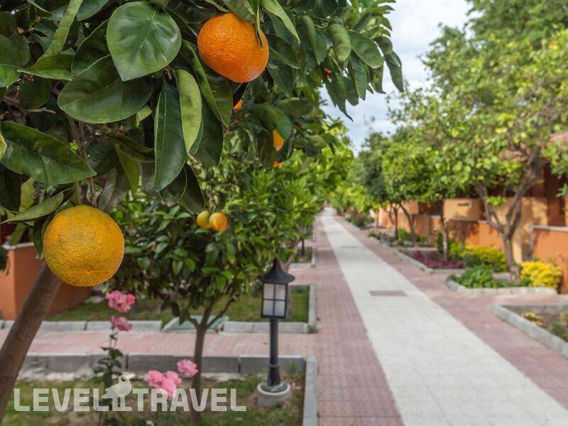 Фотография Ozlem Garden Hotel