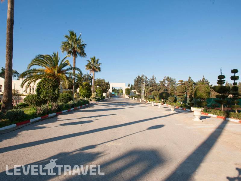 Фотография Palmyra Beach (Ex. Novostar Palmyra)