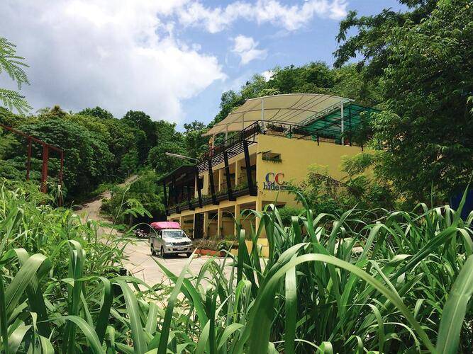 CC's Hideaway Hotel (Ex.C.C. Blooms)