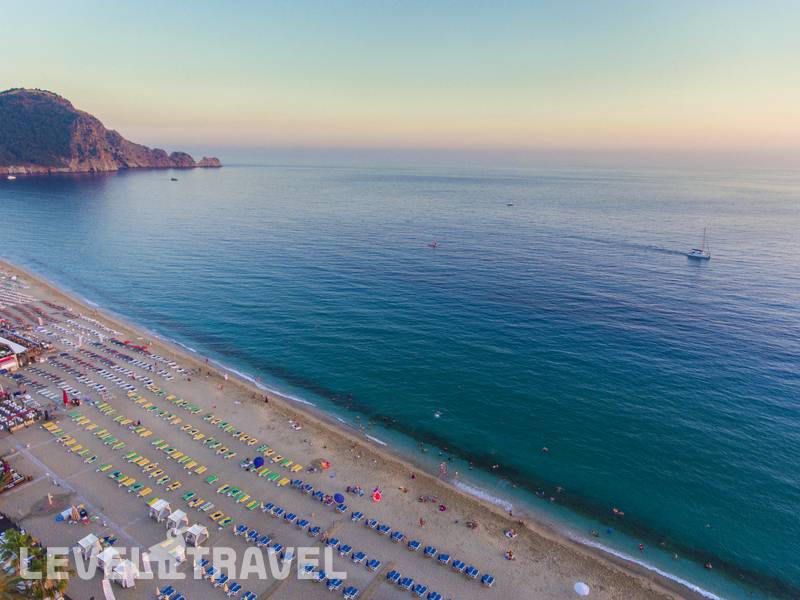 Фотография Lonicera City Hotel