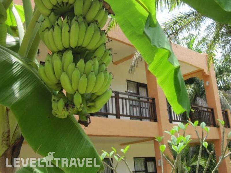 Фотография Khaolak Palm Hill