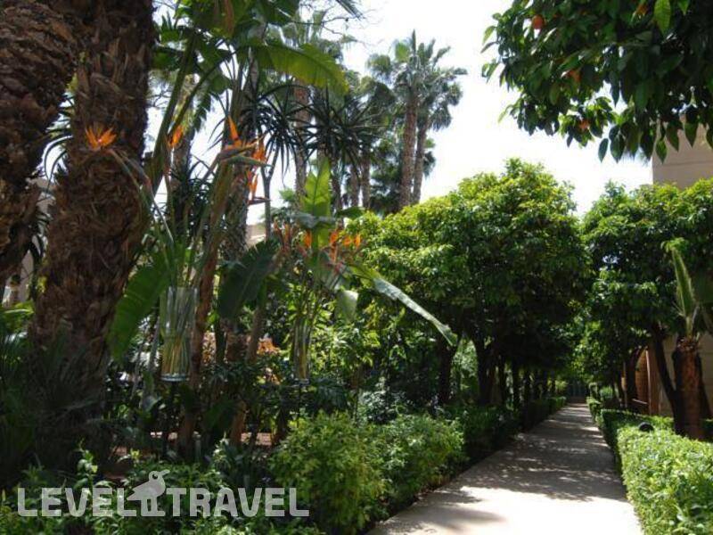Фотография Les Jardins De La Medina Фотография Les Jardins De La Medina