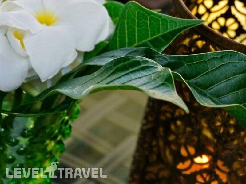 Фотография Dhevatara Beach Hotel (Adults Only 12+)