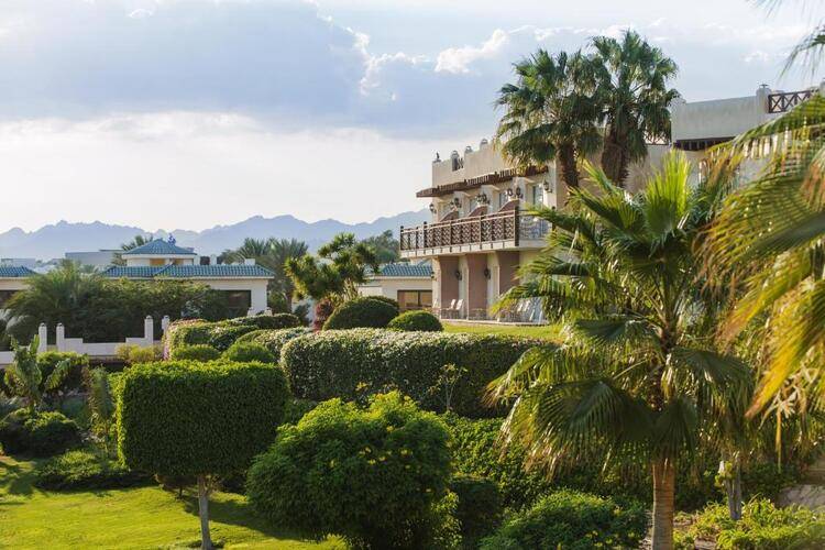Concorde El Salam Front Area