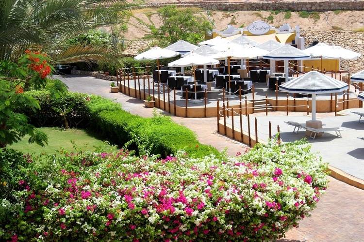 Domina Coral Bay Prestige Pool