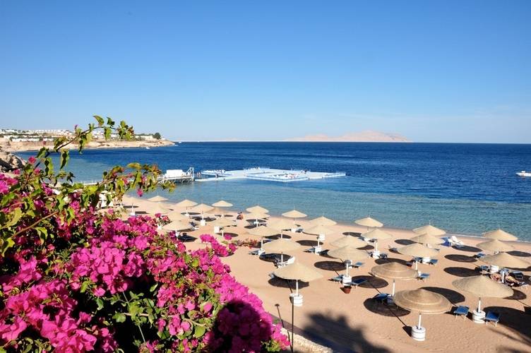 Domina Coral Bay Prestige Pool