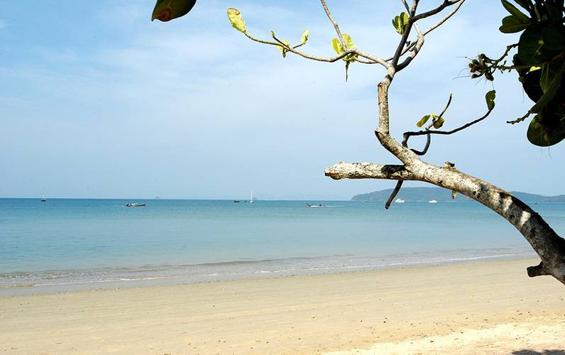 Golden Beach Resort