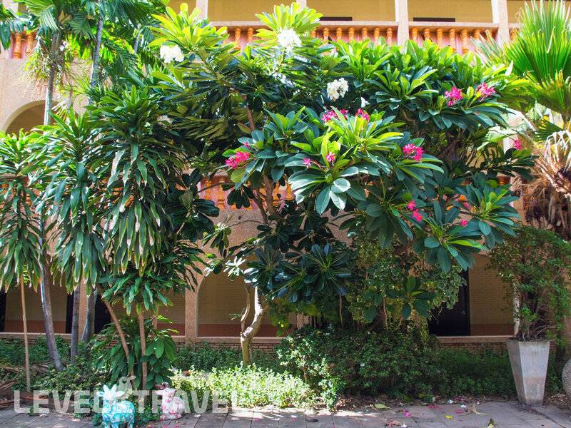 Фотография Sabai Lodge Hotel