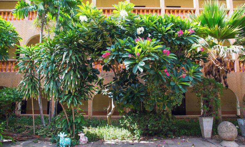Sabai Lodge Hotel