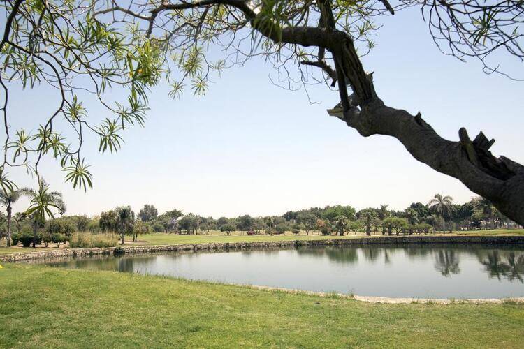 Swiss Inn Pyramids Golf