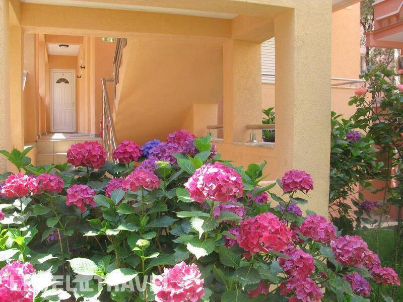 Фотография Garni Hotel Koral