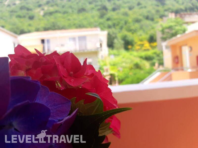 Фотография Garni Hotel Koral