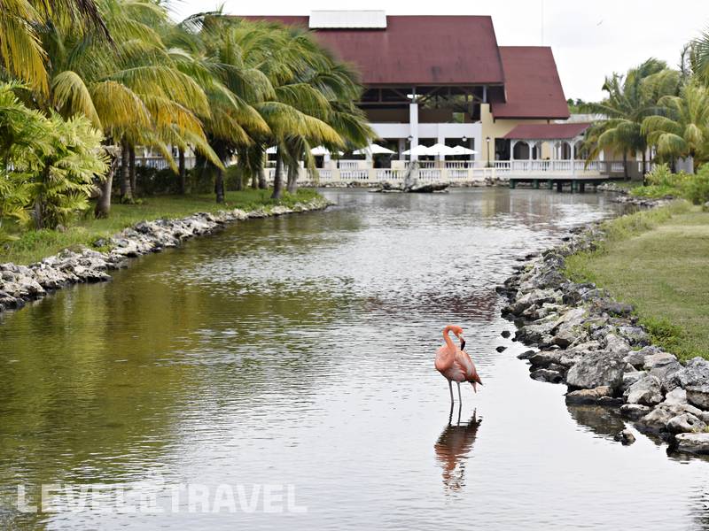 Фотография Memories Caribe Beach Resort (Adults Only 16+)