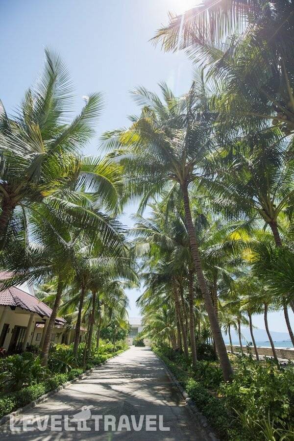 фотографии отеля Diamond Bay Resort & Spa в Вьетнам(Нячанг) - фото №60