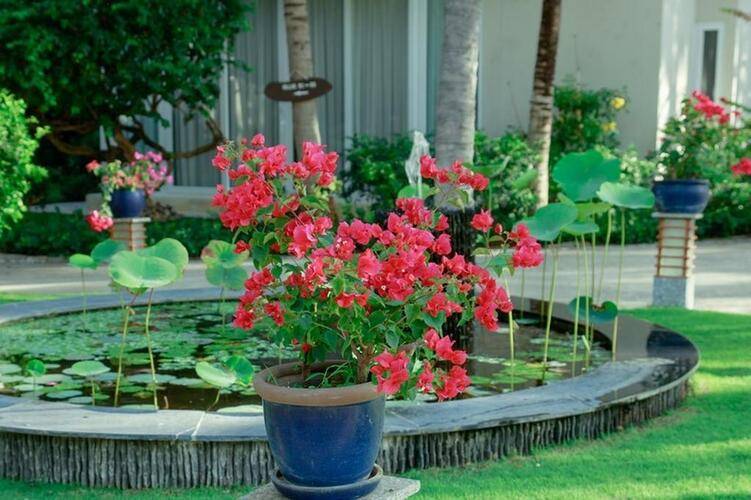 Villa Del Sol Beach Resort & Spa