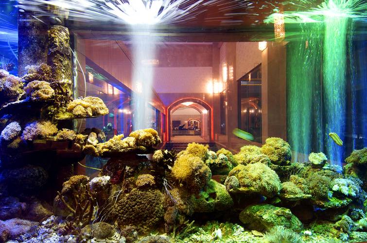 Sea Links Beach Villas