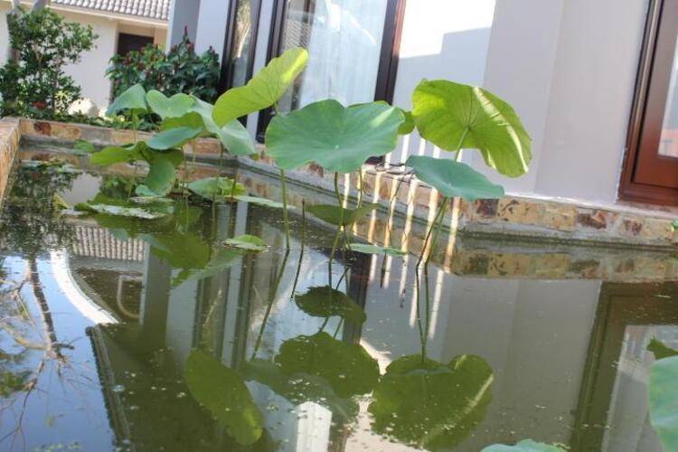 Champa Resort & Spa