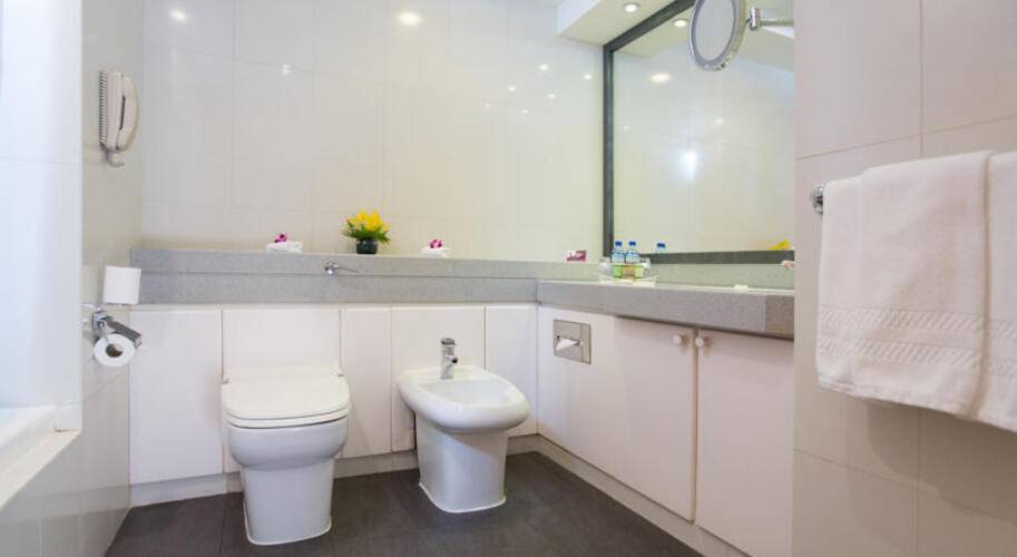 Millennium Plaza Downtown Hotel (Ex.Crowne Plaza Dubai Sheikh Zayed Road)