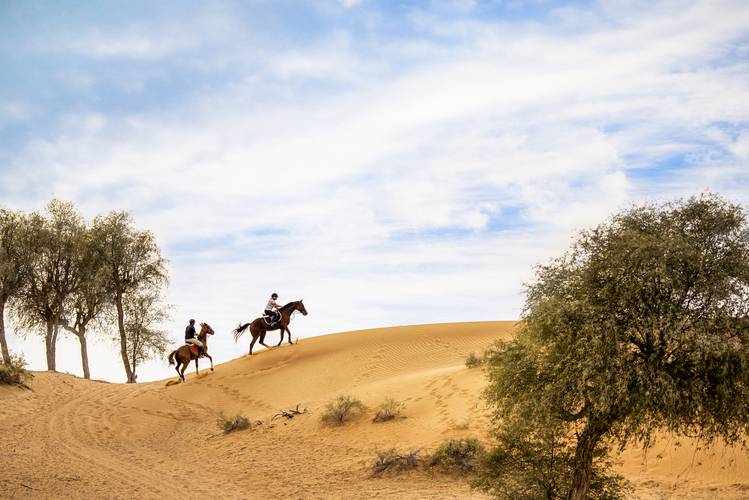 The Ritz Carlton Ras Al Khaimah, Al Wadi Desert